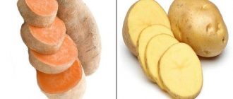 Батат vs картофель