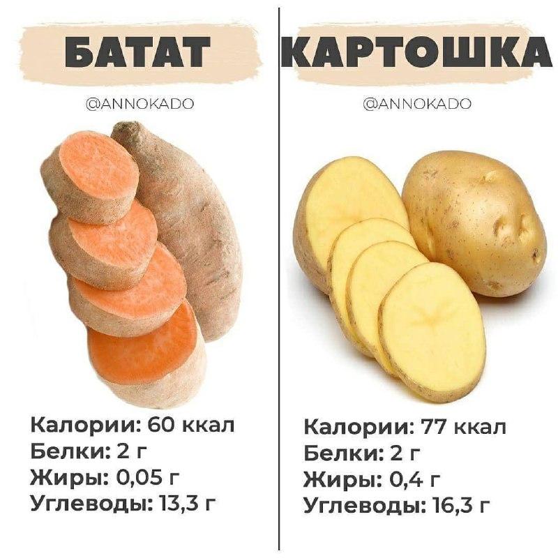 Батат vs картофель