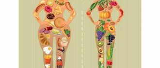 Какие продукты следует включить в рацион, чтобы тело было красивым и здоровым?