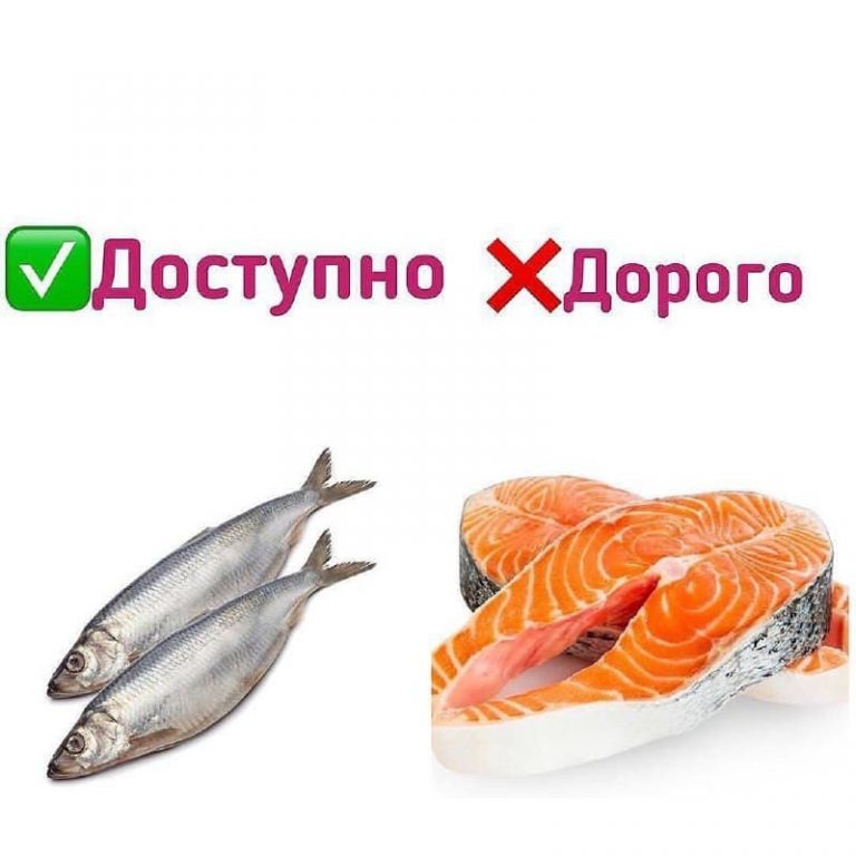 Узнать по фото продукт