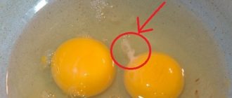 Опасность под скорлупой: вирусологи о риске заражения через куриные яйца