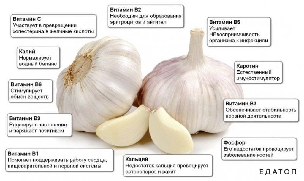 Всплеск популярности чеснока: что заставило россиян закупаться этим продуктом?